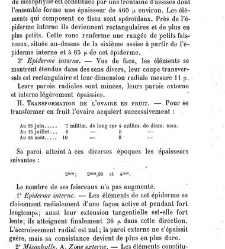 Annales des sciences naturelles. Botanique(1890) document 177150