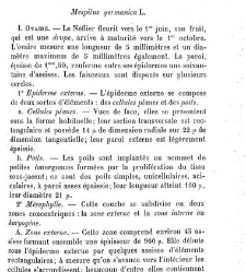 Annales des sciences naturelles. Botanique(1890) document 177152