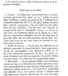 Annales des sciences naturelles. Botanique(1890) document 177166