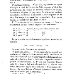 Annales des sciences naturelles. Botanique(1890) document 177167