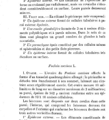 Annales des sciences naturelles. Botanique(1890) document 177171