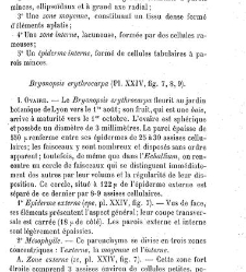 Annales des sciences naturelles. Botanique(1890) document 177188