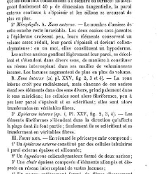 Annales des sciences naturelles. Botanique(1890) document 177194
