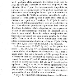 Annales des sciences naturelles. Botanique(1890) document 177197