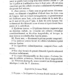 Annales des sciences naturelles. Botanique(1890) document 177207