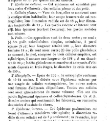Annales des sciences naturelles. Botanique(1890) document 177208