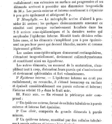 Annales des sciences naturelles. Botanique(1890) document 177211