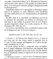 Annales des sciences naturelles. Botanique(1890) document 177212