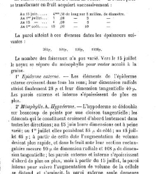 Annales des sciences naturelles. Botanique(1890) document 177218