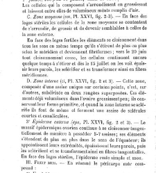 Annales des sciences naturelles. Botanique(1890) document 177219