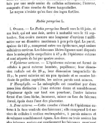 Annales des sciences naturelles. Botanique(1890) document 177220