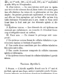 Annales des sciences naturelles. Botanique(1890) document 177222