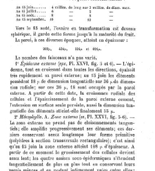 Annales des sciences naturelles. Botanique(1890) document 177226