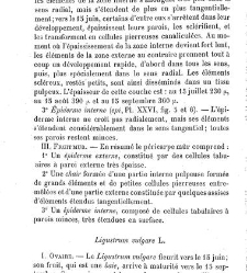 Annales des sciences naturelles. Botanique(1890) document 177227