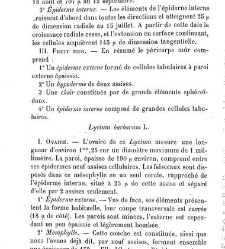 Annales des sciences naturelles. Botanique(1890) document 177229