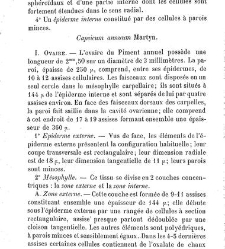 Annales des sciences naturelles. Botanique(1890) document 177245