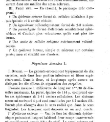 Annales des sciences naturelles. Botanique(1890) document 177248