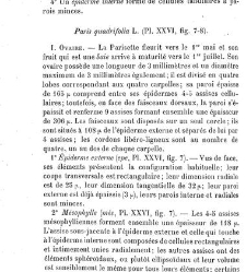 Annales des sciences naturelles. Botanique(1890) document 177251