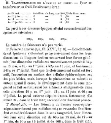 Annales des sciences naturelles. Botanique(1890) document 177252