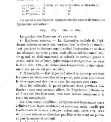 Annales des sciences naturelles. Botanique(1890) document 177255