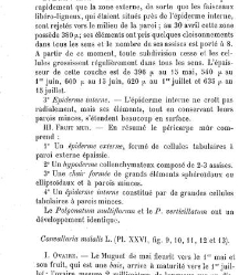 Annales des sciences naturelles. Botanique(1890) document 177259