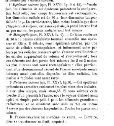 Annales des sciences naturelles. Botanique(1890) document 177260