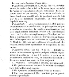 Annales des sciences naturelles. Botanique(1890) document 177261