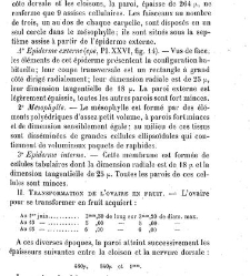 Annales des sciences naturelles. Botanique(1890) document 177264