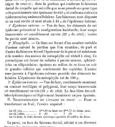 Annales des sciences naturelles. Botanique(1890) document 177266