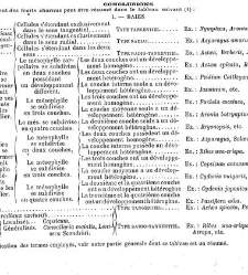 Annales des sciences naturelles. Botanique(1890) document 177268