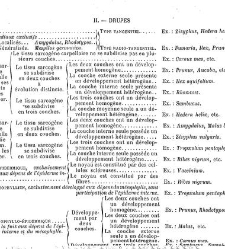 Annales des sciences naturelles. Botanique(1890) document 177269