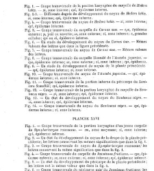 Annales des sciences naturelles. Botanique(1890) document 177271