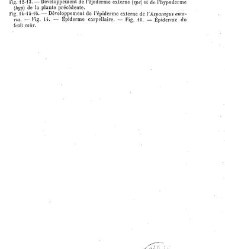 Annales des sciences naturelles. Botanique(1890) document 177272