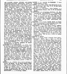 Słownik języka polskiego t. II(1855) document 428016