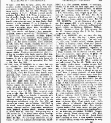 Słownik języka polskiego t. V(1859) document 430306