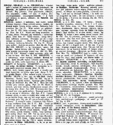 Słownik języka polskiego t. V(1859) document 430320
