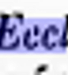 Słownik języka polskiego [selected snippets quoting Church Cyrillic](2000) document 431743