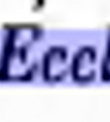 Słownik języka polskiego [selected snippets quoting Church Cyrillic](2000) document 431809