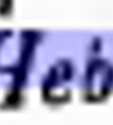 Słownik języka polskiego [selected snippets quoting Hebrew](2000) document 432953