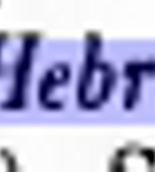 Słownik języka polskiego [selected snippets quoting Hebrew](2000) document 433060