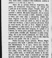 Dra V&aacute;clava Staňka Př&iacute;rodopis proston&aacute;rodn&iacute;, čili, Pops&aacute;n&iacute; zv&iacute;řat, rostlin a nerostů vedl&eacute; tř&iacute;d a ř&aacute;dů jejich(1851) document 592478