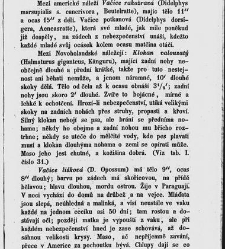 Dra V&aacute;clava Staňka Př&iacute;rodopis proston&aacute;rodn&iacute;, čili, Pops&aacute;n&iacute; zv&iacute;řat, rostlin a nerostů vedl&eacute; tř&iacute;d a ř&aacute;dů jejich(1851) document 592499