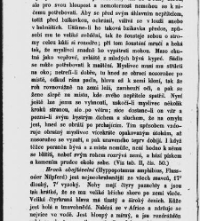 Dra V&aacute;clava Staňka Př&iacute;rodopis proston&aacute;rodn&iacute;, čili, Pops&aacute;n&iacute; zv&iacute;řat, rostlin a nerostů vedl&eacute; tř&iacute;d a ř&aacute;dů jejich(1851) document 592514