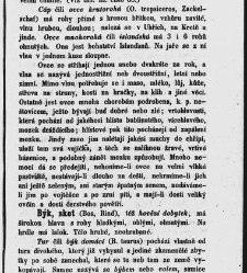 Dra V&aacute;clava Staňka Př&iacute;rodopis proston&aacute;rodn&iacute;, čili, Pops&aacute;n&iacute; zv&iacute;řat, rostlin a nerostů vedl&eacute; tř&iacute;d a ř&aacute;dů jejich(1851) document 592529
