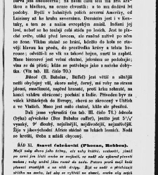 Dra V&aacute;clava Staňka Př&iacute;rodopis proston&aacute;rodn&iacute;, čili, Pops&aacute;n&iacute; zv&iacute;řat, rostlin a nerostů vedl&eacute; tř&iacute;d a ř&aacute;dů jejich(1851) document 592531