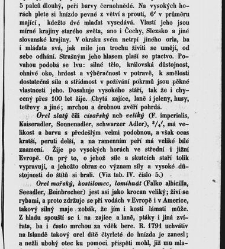 Dra V&aacute;clava Staňka Př&iacute;rodopis proston&aacute;rodn&iacute;, čili, Pops&aacute;n&iacute; zv&iacute;řat, rostlin a nerostů vedl&eacute; tř&iacute;d a ř&aacute;dů jejich(1851) document 592541