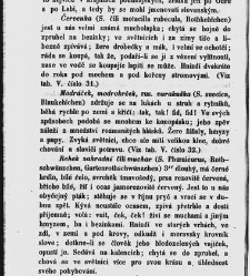 Dra V&aacute;clava Staňka Př&iacute;rodopis proston&aacute;rodn&iacute;, čili, Pops&aacute;n&iacute; zv&iacute;řat, rostlin a nerostů vedl&eacute; tř&iacute;d a ř&aacute;dů jejich(1851) document 592548