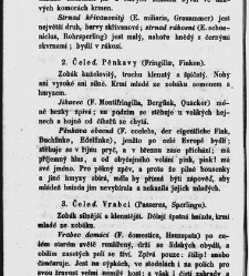 Dra V&aacute;clava Staňka Př&iacute;rodopis proston&aacute;rodn&iacute;, čili, Pops&aacute;n&iacute; zv&iacute;řat, rostlin a nerostů vedl&eacute; tř&iacute;d a ř&aacute;dů jejich(1851) document 592560