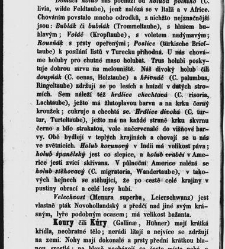Dra V&aacute;clava Staňka Př&iacute;rodopis proston&aacute;rodn&iacute;, čili, Pops&aacute;n&iacute; zv&iacute;řat, rostlin a nerostů vedl&eacute; tř&iacute;d a ř&aacute;dů jejich(1851) document 592572