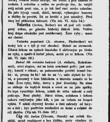 Dra V&aacute;clava Staňka Př&iacute;rodopis proston&aacute;rodn&iacute;, čili, Pops&aacute;n&iacute; zv&iacute;řat, rostlin a nerostů vedl&eacute; tř&iacute;d a ř&aacute;dů jejich(1851) document 592577
